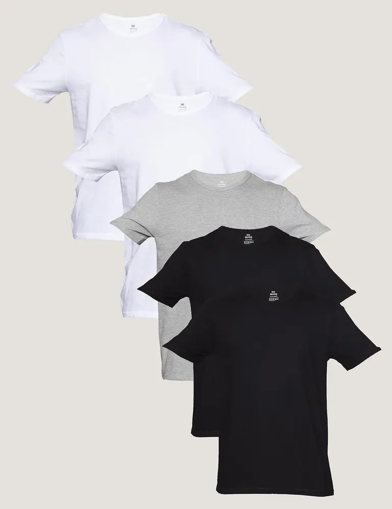Kit Com 5 Camisetas Básicas Slim Masculina Hering (P ao XG)