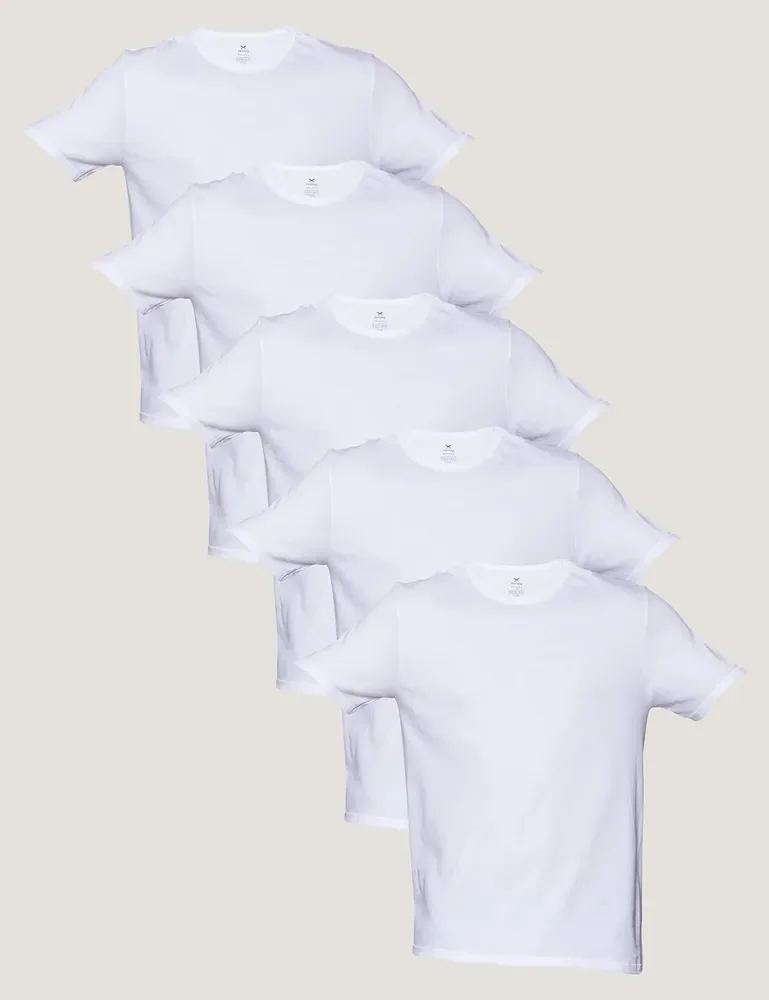 Kit 5 Camisetas Básicas Masculinas Algodão Branca Hering