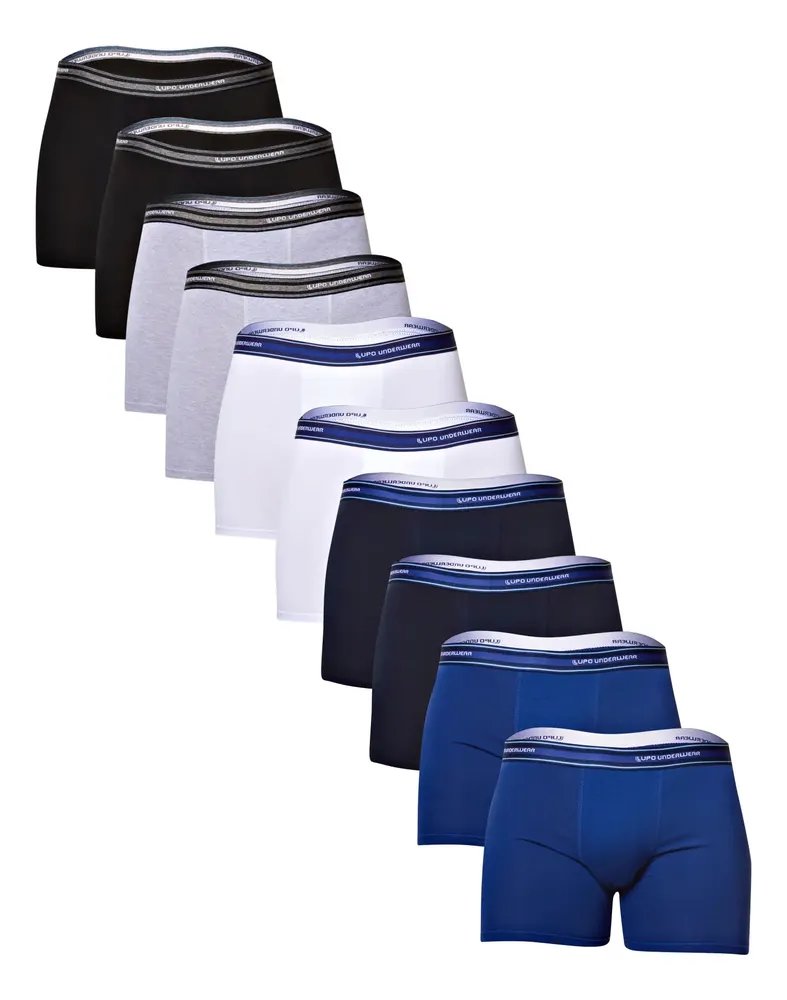 Kit 10 Cuecas Boxer Lupo Masculino Algodao Cinza/preto/branco/azul Marinho/azul Liso P