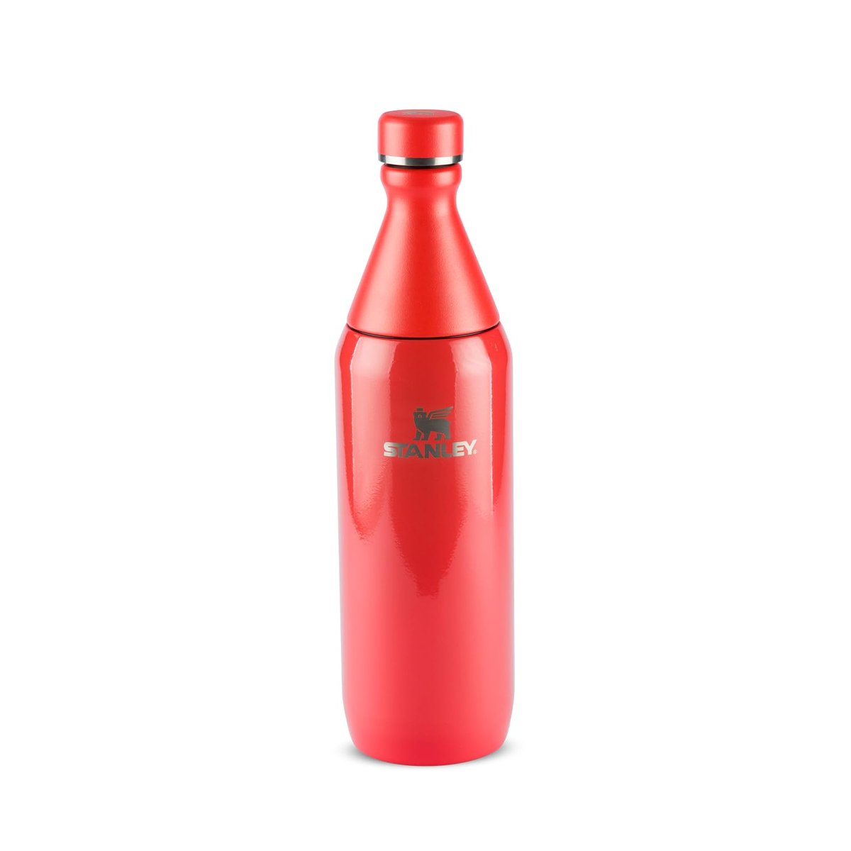 ✨Stanley - Garrafa térmica Slim Bottle para água e bebidas frias, colarinho removível para adicionar Gelo, à Prova de vazamentos, aço inoxidável, 591 m...✨️