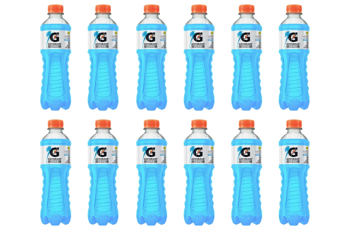 Isotônico Zero Gatorade, Frutas Silvestres, Garrafa 350ml, Pack com 12 unidades