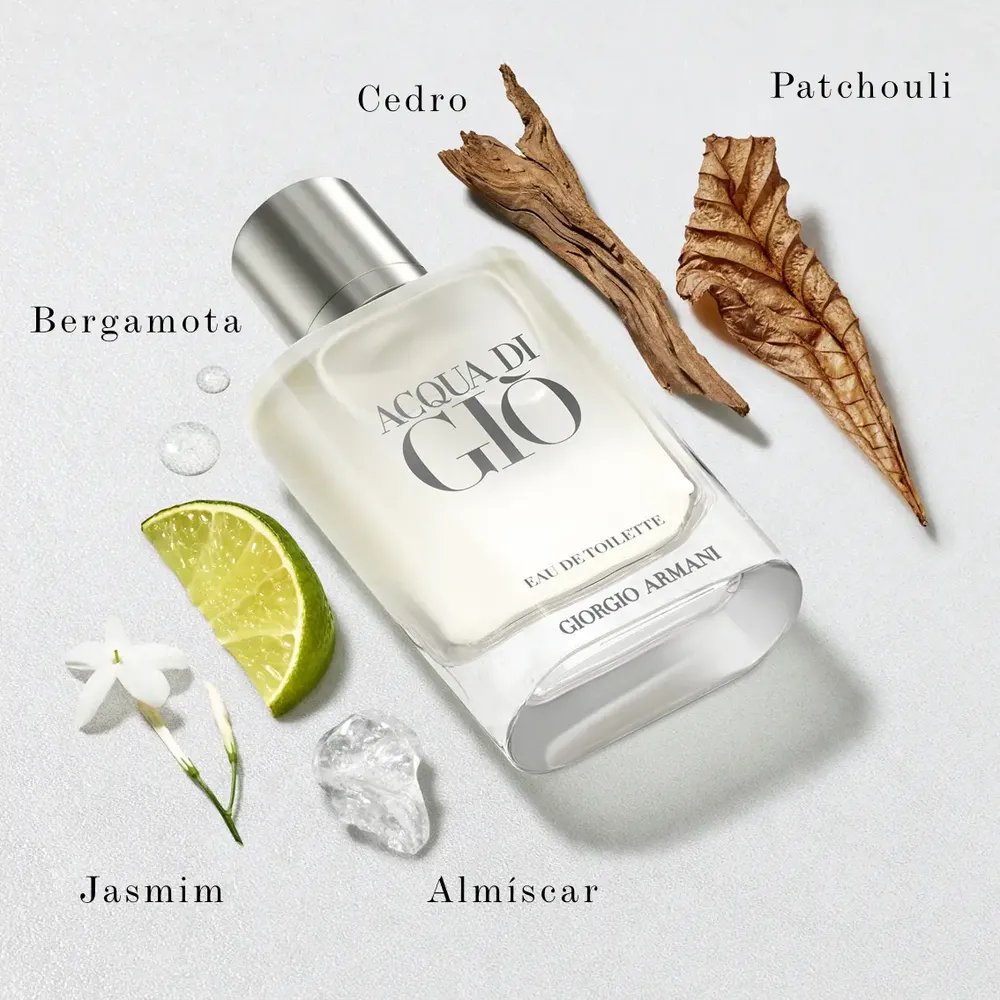Armani Beauty Perfume Masculino Acqua Di Giò Eau de Toilette 100ml
