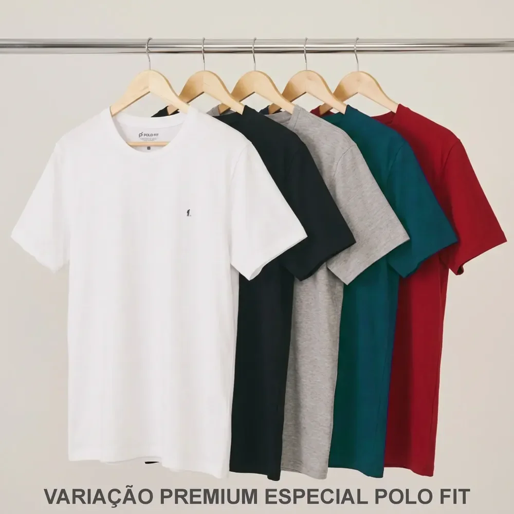 ⚫️ Kit 5 Camisetas Básicas Masculinas de Algodão Hering