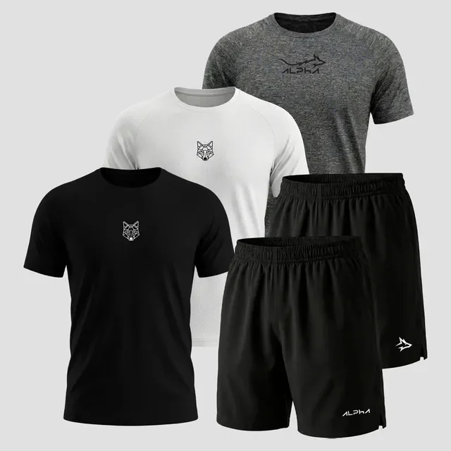 🛒 Kit 5 Peças Dry 3 Camisetas E 2 Bermudas Alpha