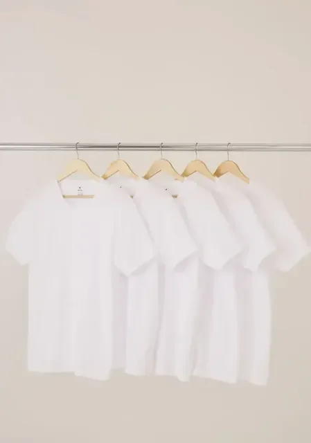 Kit com 5 Camisetas Hering Básica