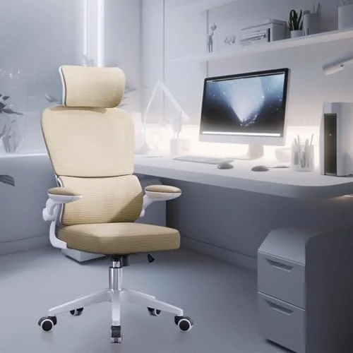 ✨ Cadeira de escritório com design ergonômico conforme NR-17, suporte lombar independente, malha respirável e encosto de cabeça ajustável,Python Fly（Ama...
